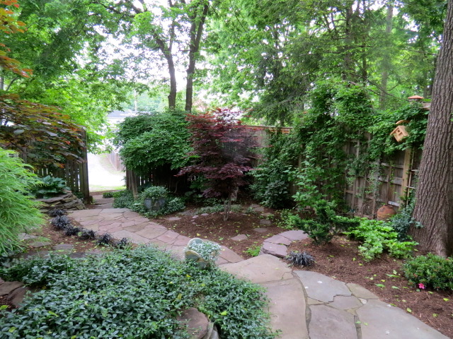 Morning Musings: Beyond the Garden Gates - 2013