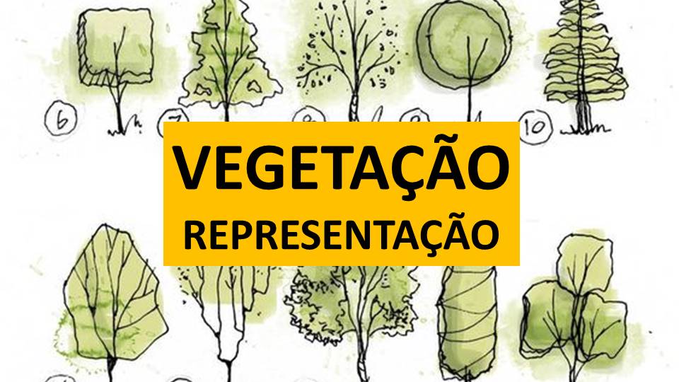 Vegetação – Representação