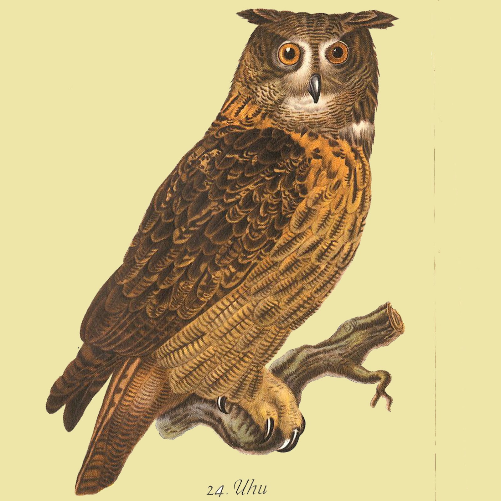 Yes And Yes Page 219 Of 240 Because Yes Is More Fun Than No