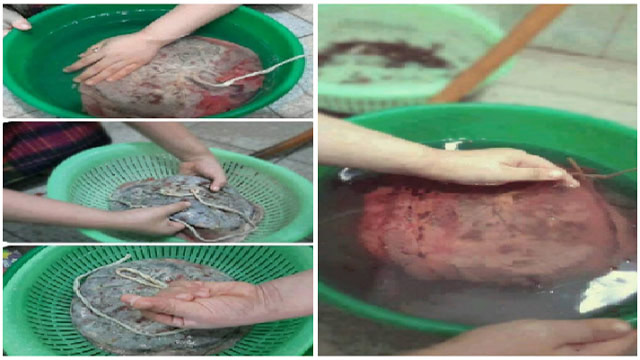 Cara Mencuci Ariari yang Benar ini Wajib Diketahui Para Cara Mencuci Ariari yang Benar ini Wajib Diketahui Para