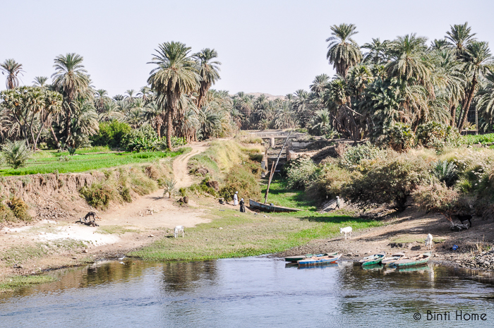Nile Luxor green - Binti Home