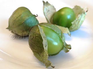 Tomatillos, Nightshade Family