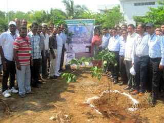Gangavaram Port celebrates World Environment Day 2017 Gangavaram Port celebrates World Environment Day 2017