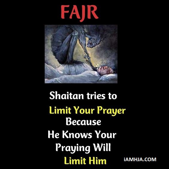 Beautiful Islamic Quotes Dpz