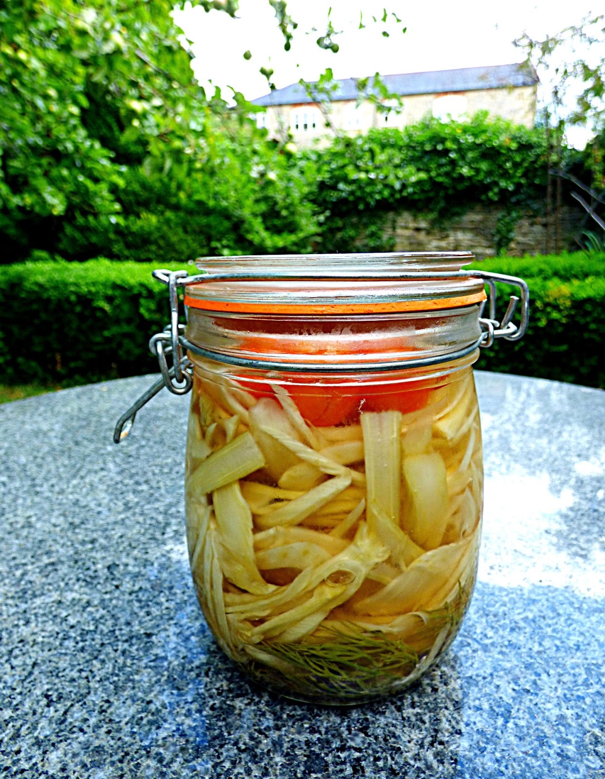 Chez Maximka Pickled fennel