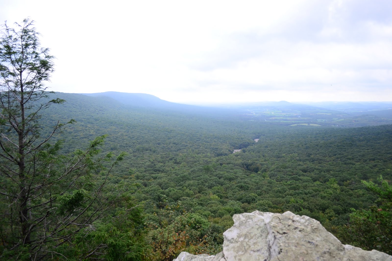 Creekside Cottage Hawk Mountain