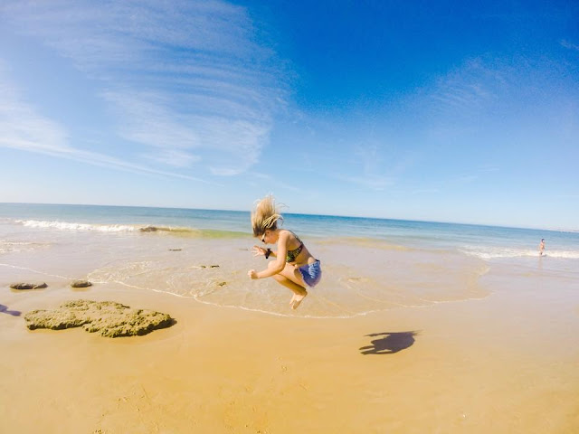pet sitting portugal house sitting portugal
