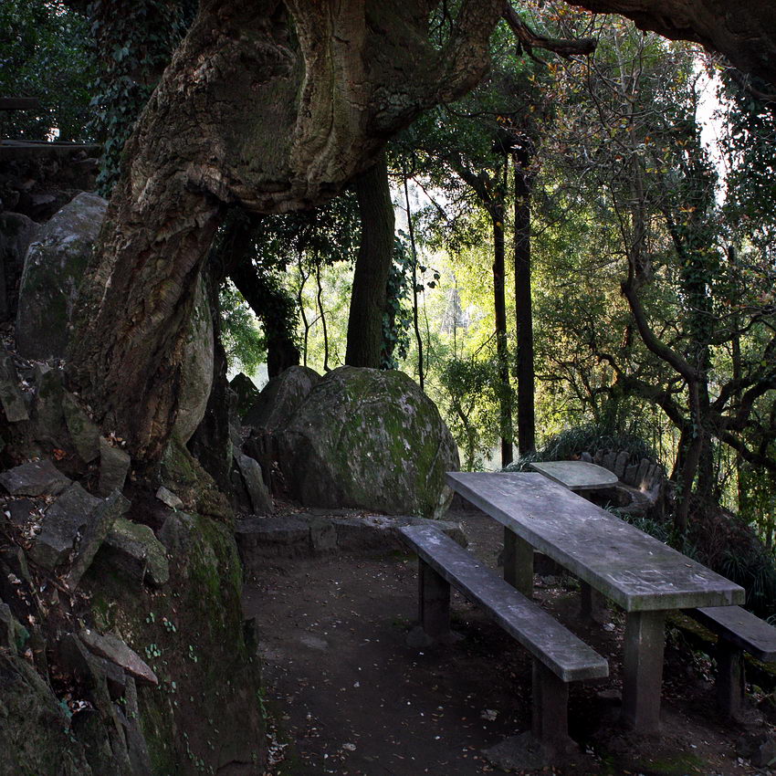 Zona de merendas com uma pesa e bancos corridos em cimento, no lado direito. À esquerda um tronco de árvore, muito grosso. Ao fundo dois pedregulhos e por fim floresta