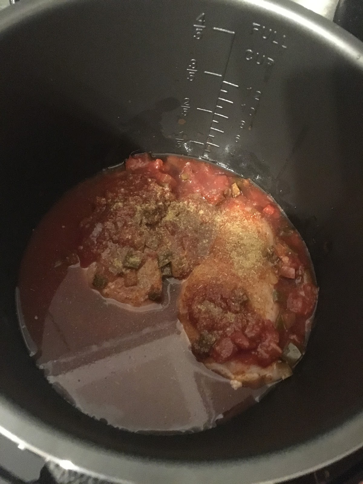 Nesca's Nook Gourmia Pressure cooker & easy Salsa chicken