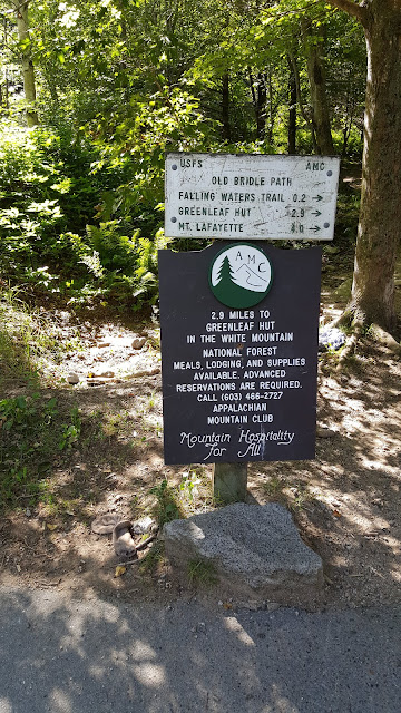 Début du sentier pour le mont Lafayette