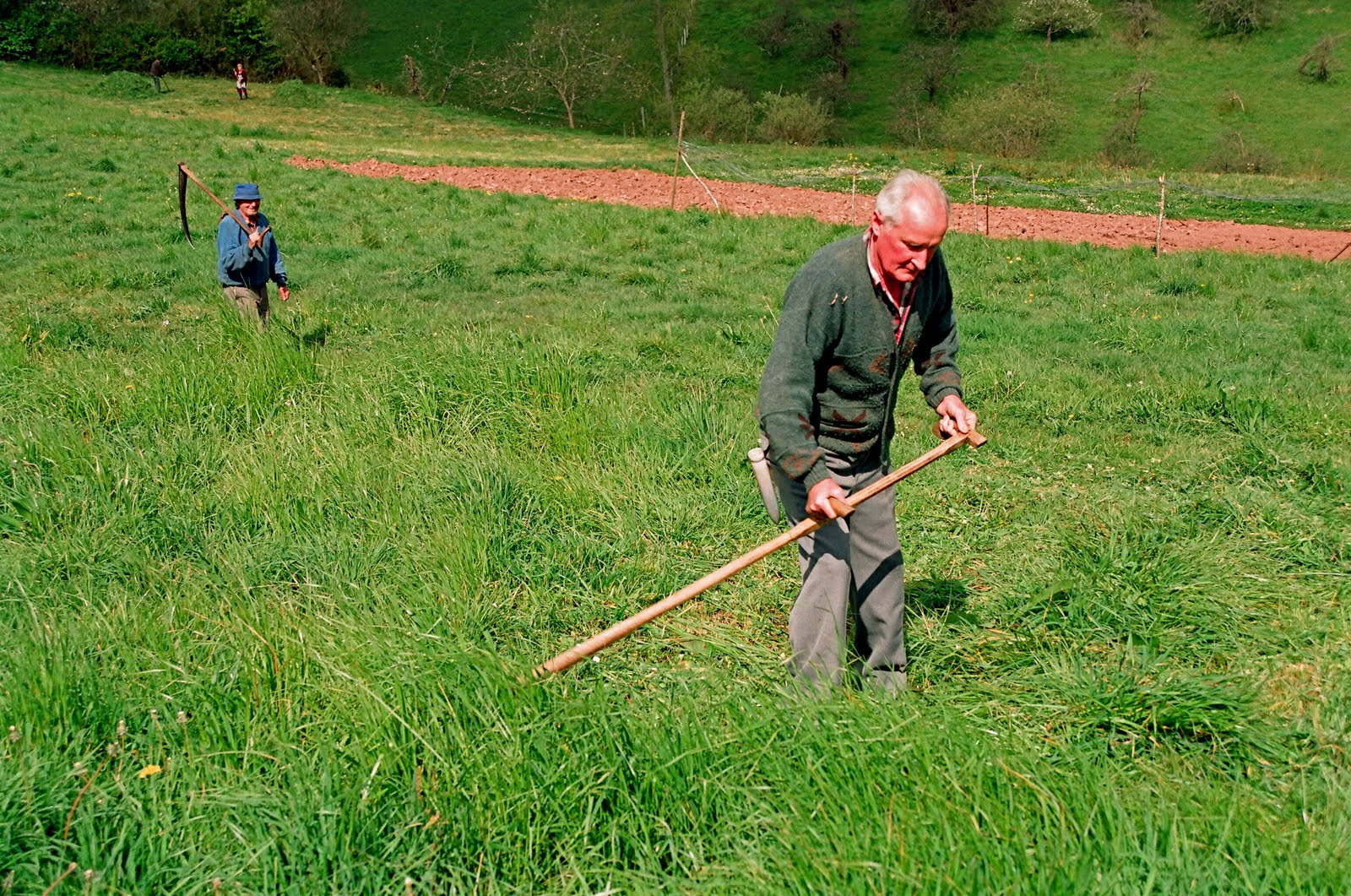 El Camino de Santiago desde Asturias: 