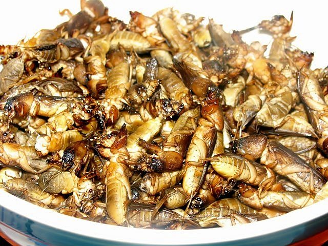 Its more FUN in the Philippines