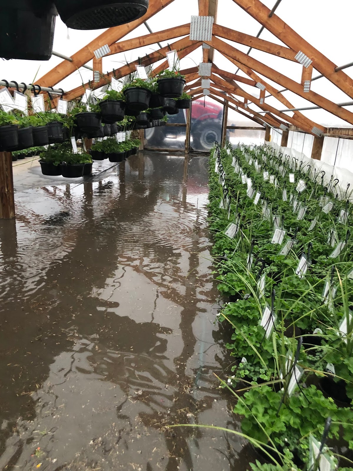 Weather Related Announcements