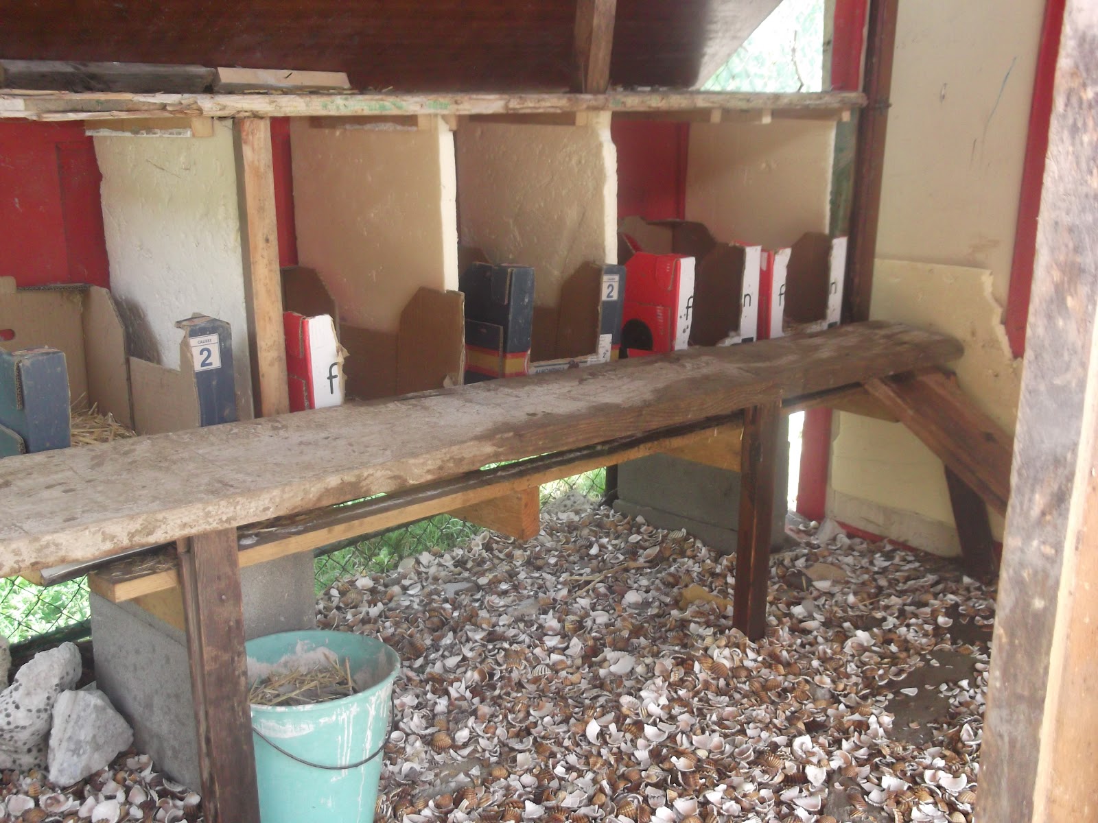 LA HUERTA BRICOECOLOGICA: la granja en el huerto