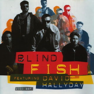 La Bible De La Westcoast Music Cool Night Blind Fish Featuring David Hallyday 2000 Bbf 1994 Power Pop Aor