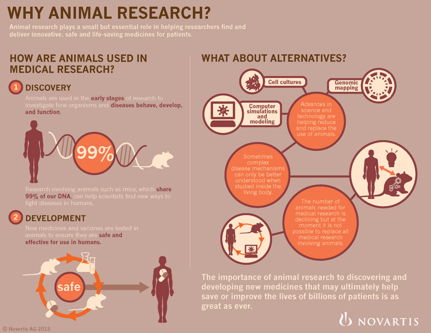 animal research studies examples