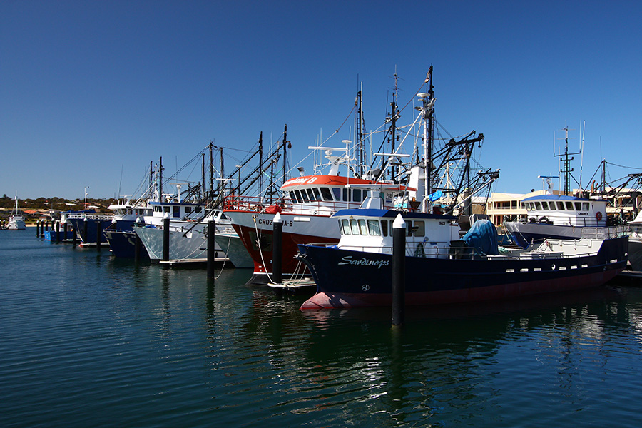 Nathan & Alison's Caravan Extravaganza: Port Lincoln
