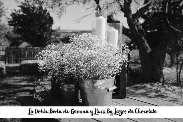 boda motera wedding planner 