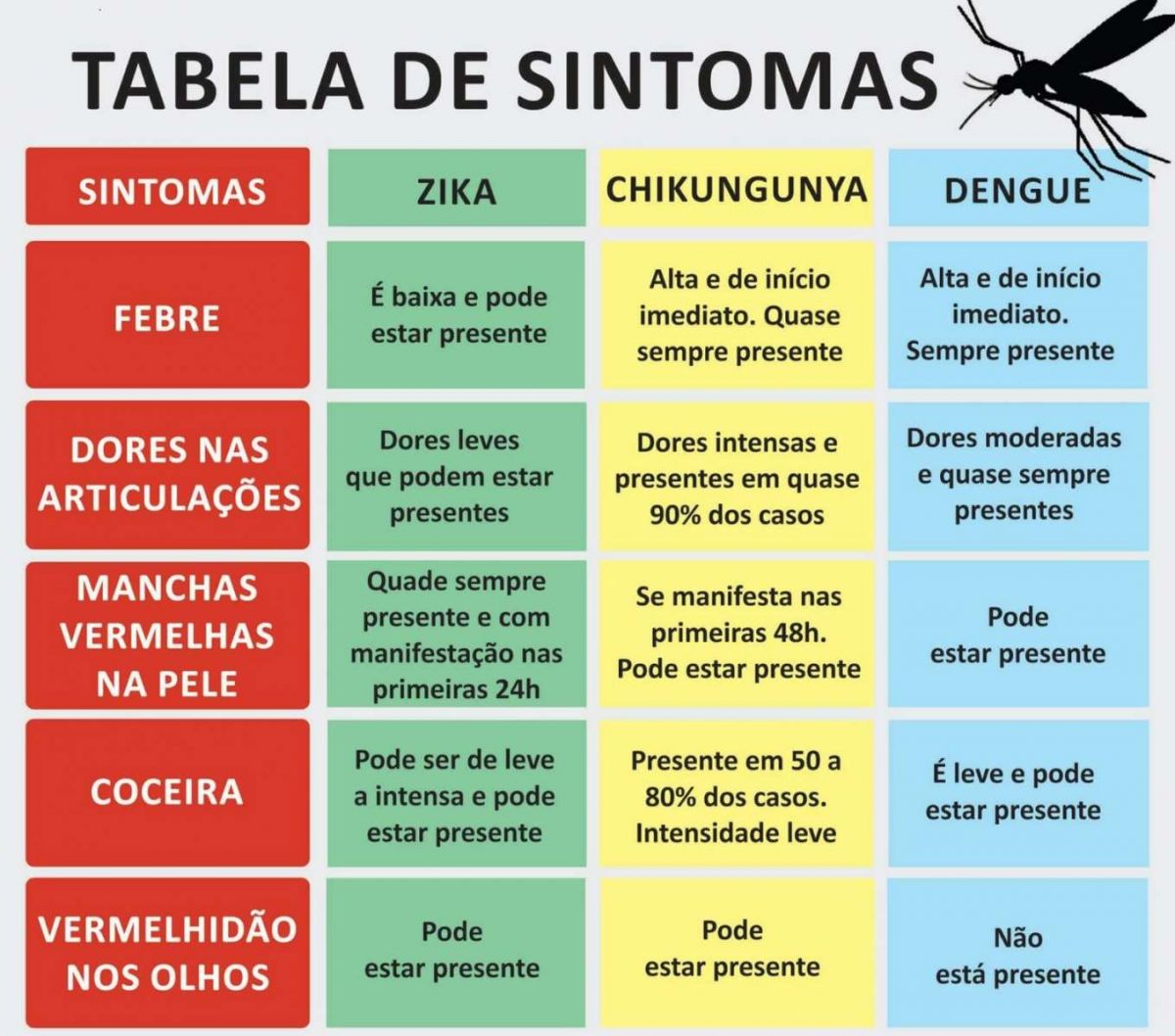 Dengue E Gripe São Exemplos De Doenças Causadas Por Vírus