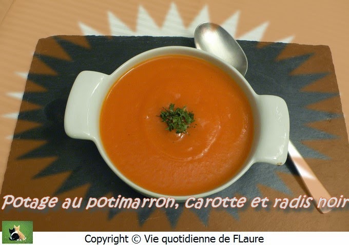 Vie quotidienne de FLaure: Potage au potimarron, carotte et radis noir