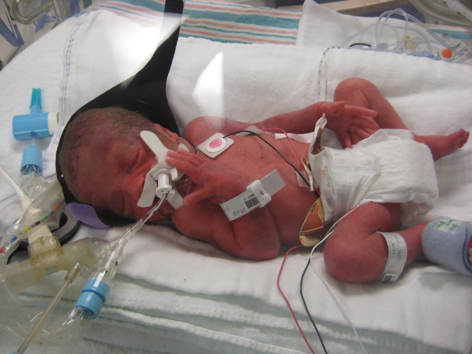 the-weishaars-world-28-weeks-3-days-hooray