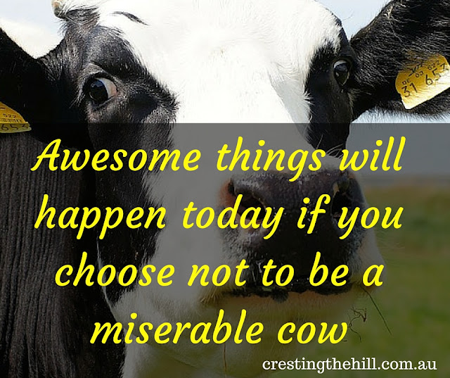 Awesome things will happen today if you choose not to be a miserable cow