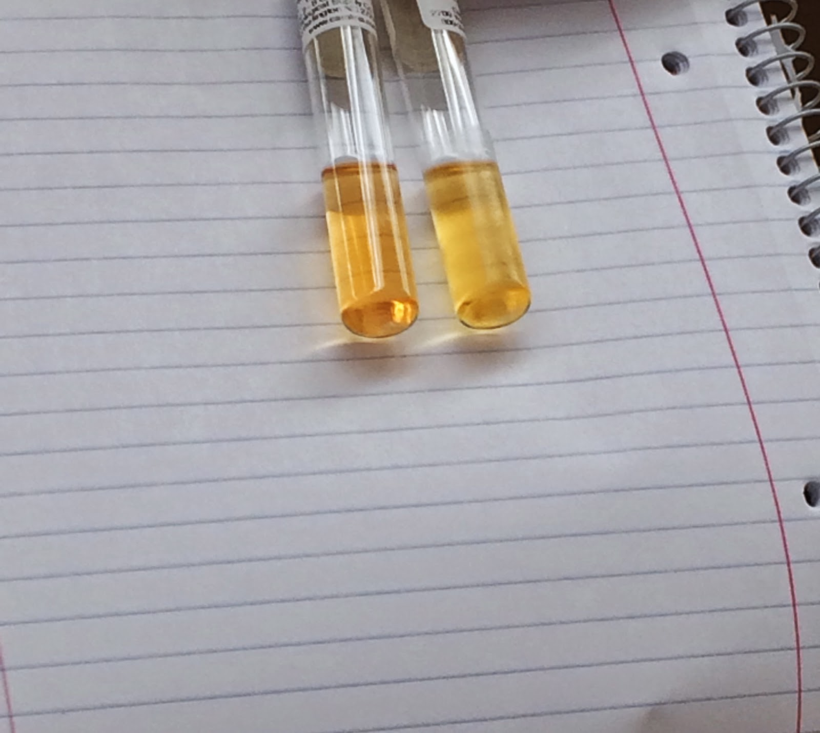 Getting Bacteria Samples