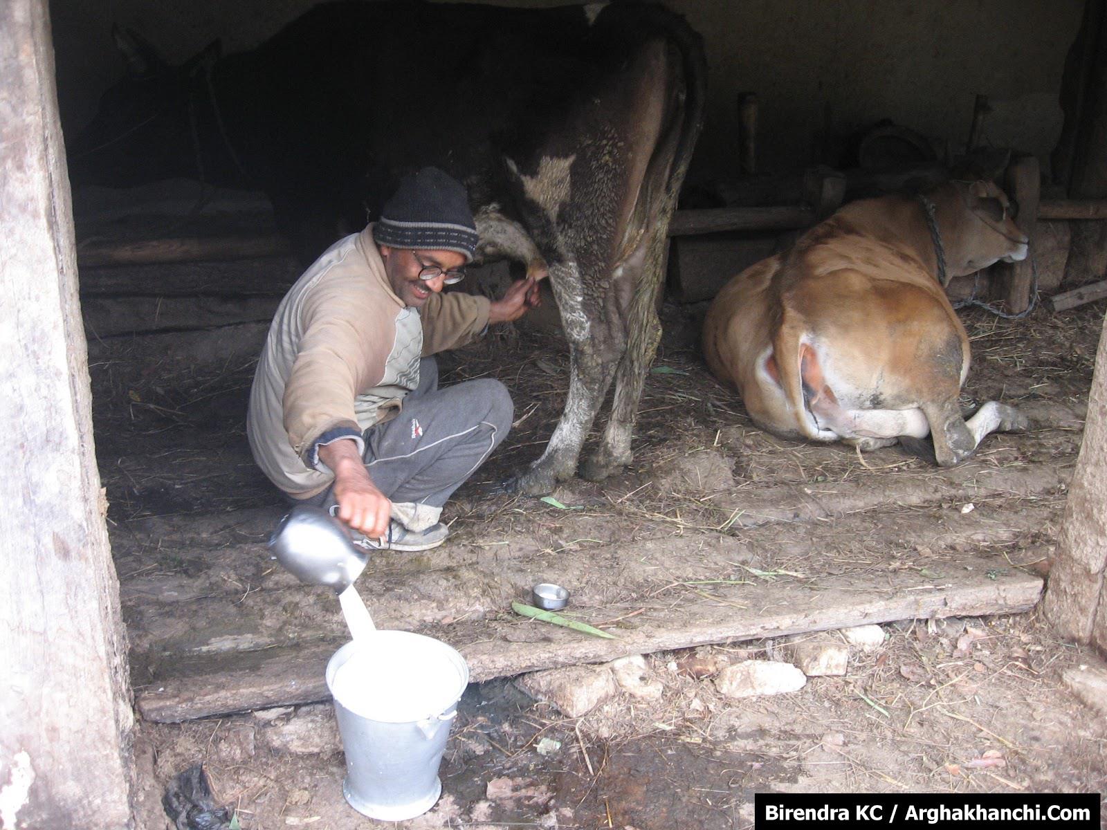 Image result for à¤à¤°à¥à¤à¤¾à¤à¤¾à¤à¤à¥ à¤¦à¥à¤§