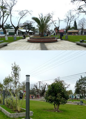 El Magazin de Merlo: Es constante la forestación en el Distrito de