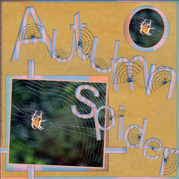 – Autumn Spiders