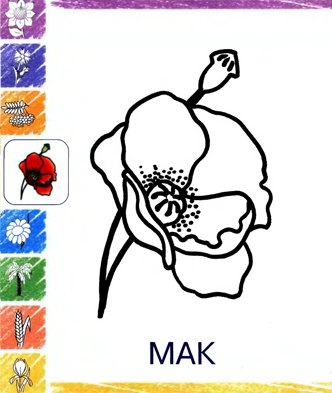 Мак рисунок для детей 1 класса