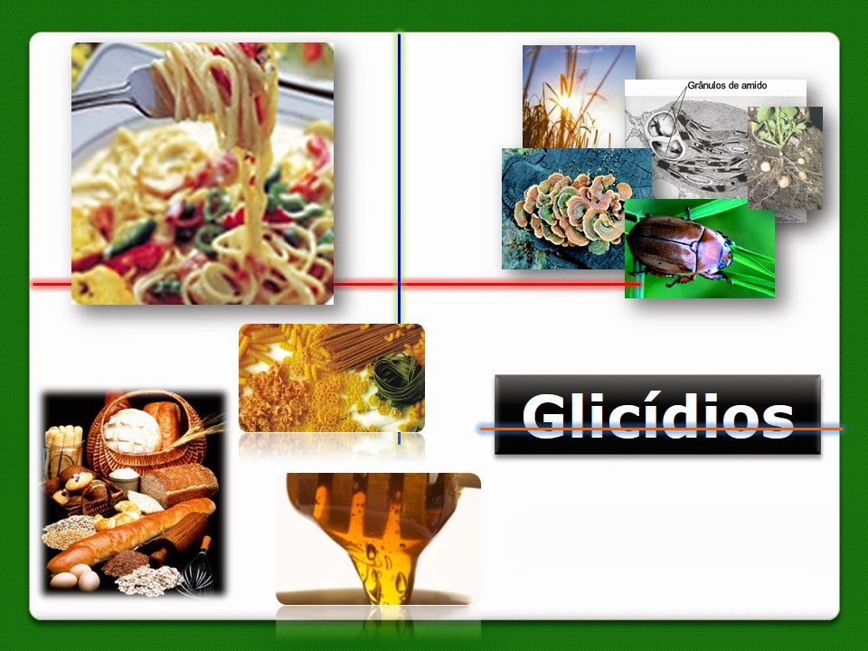 A Tabela Lista Três Glicídios E Seus Componentes