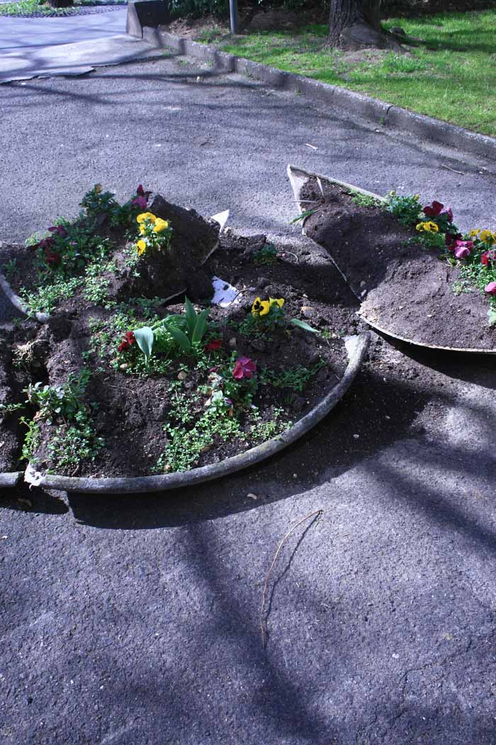 seen vs saw examples seen vs saw examples
