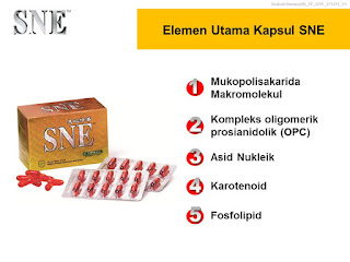 SNE Kapsul adalah herbal yang mengandung Omega 3,6, dan7 yang berkhasiat menjaga daya tahan tubuh dan mencegah pernyakit degeneratif. Minum sehiari 2 kapsul agar tubuh tetap sehat sampai usia 120 tahun.