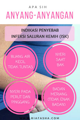 indikasi infeksi saluran kemih