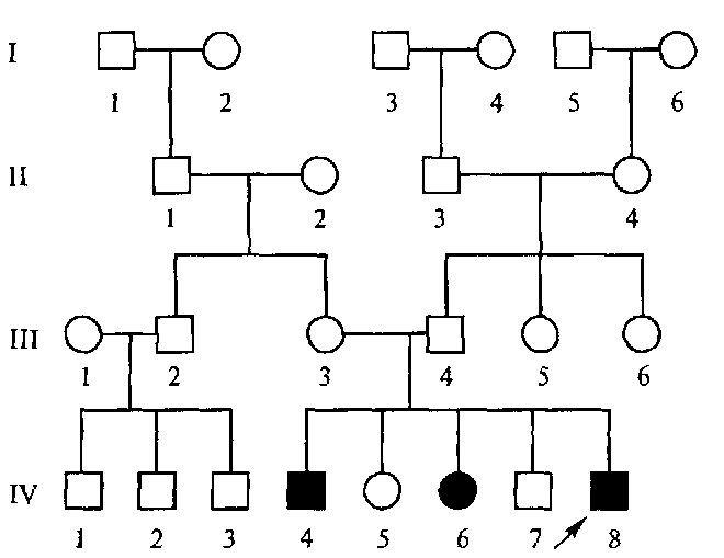 Родословная биология 11 класс. Схема родословной генетика. Родословная генетика пробанд. Родословная схема по генетике 4 поколения. Схема родословной пробанд.