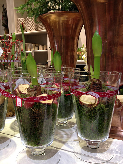 Jenny Strandh Every day flowers