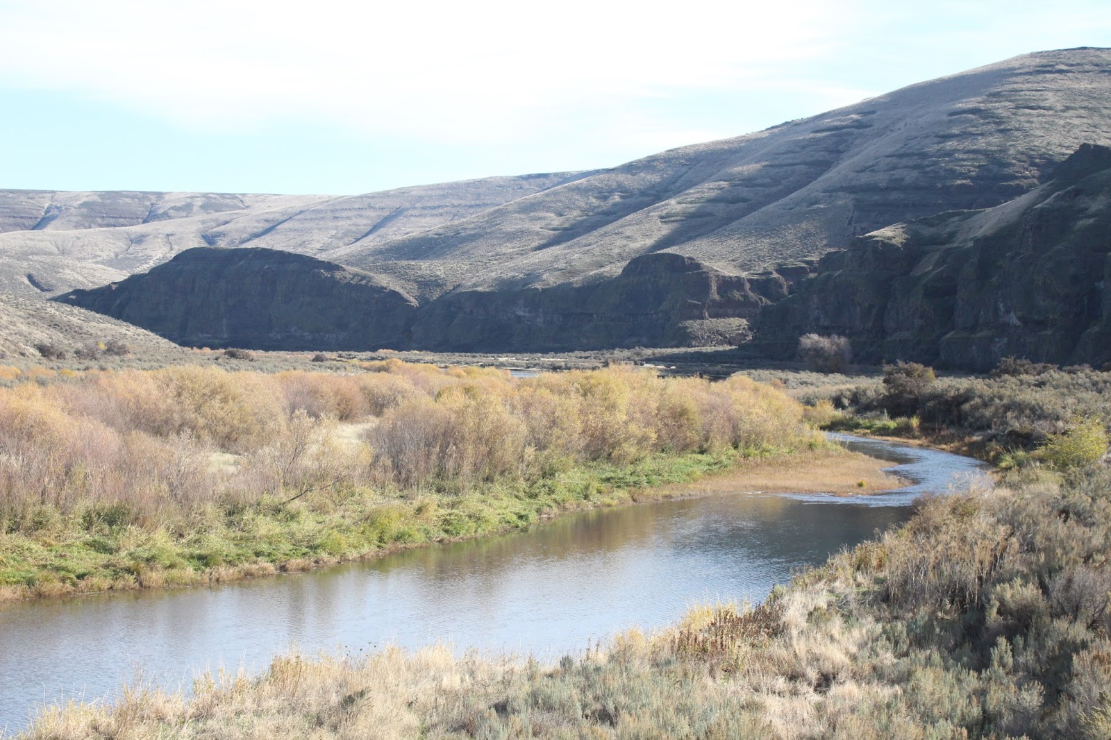 Out and About Oregon Birds Cottonwood Canyon State Park