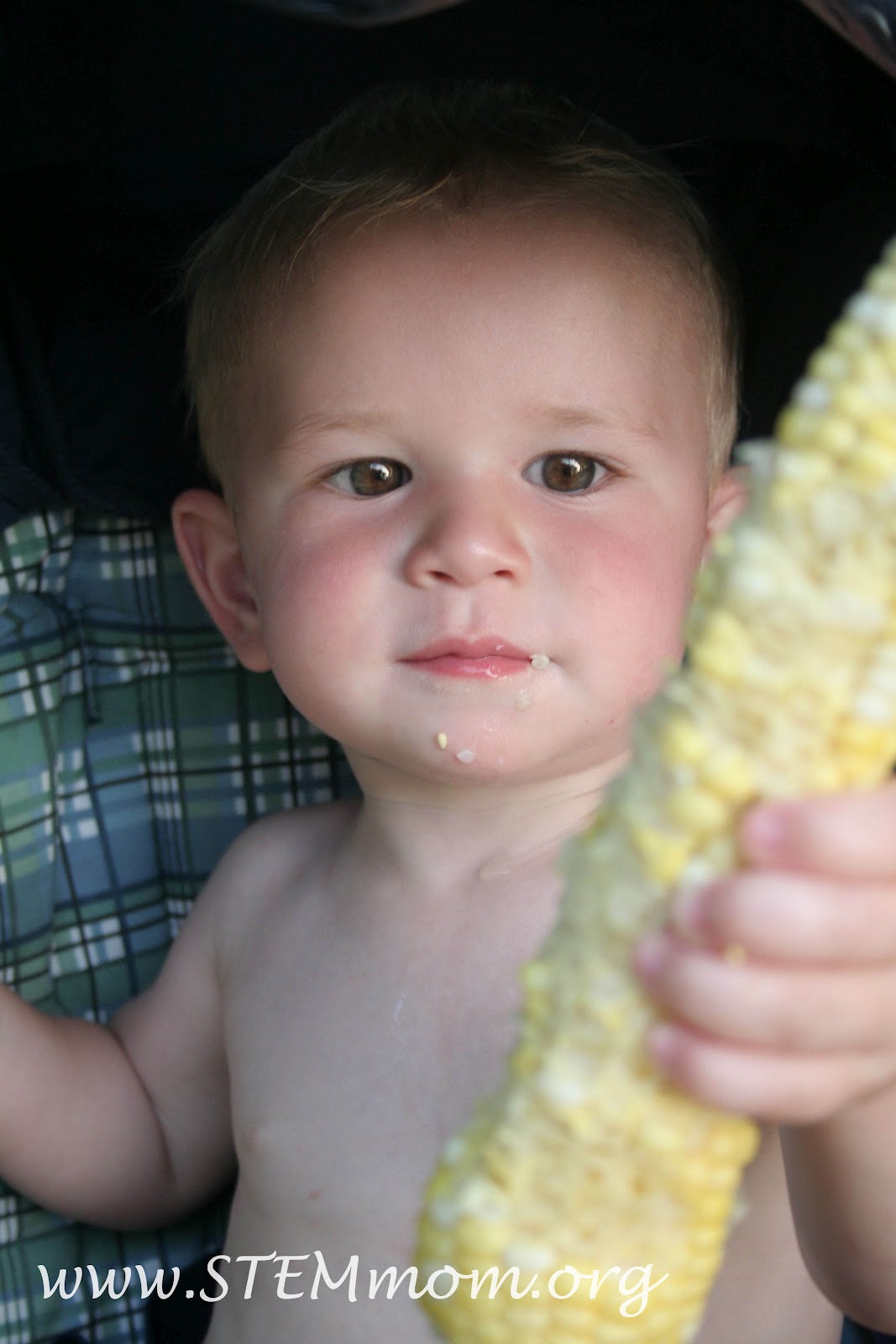 Dr. STEM Mom: Our Illinois Corn in Early July