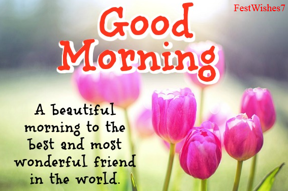 latest good morning images for whatsapp free download