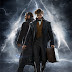 Animales Fantásticos: los crímenes de Grindelwald 2018 pelicula