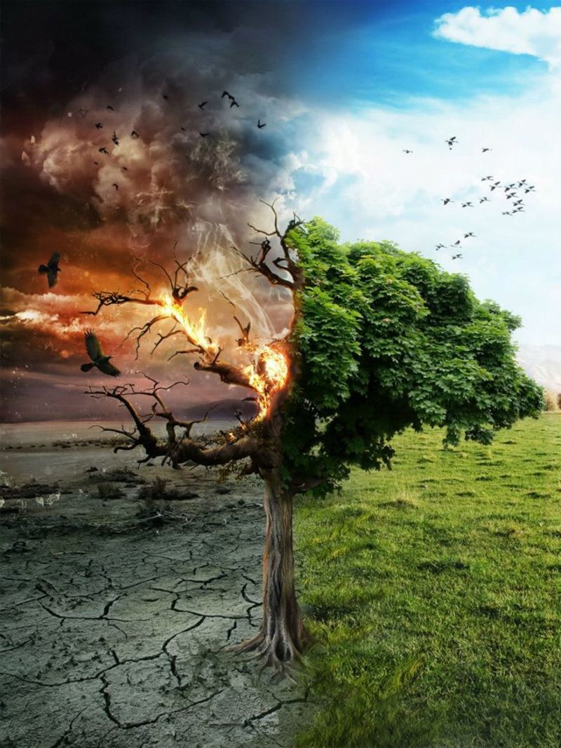 Espace Deuil Réconfort: Mourir pour mieux renaître