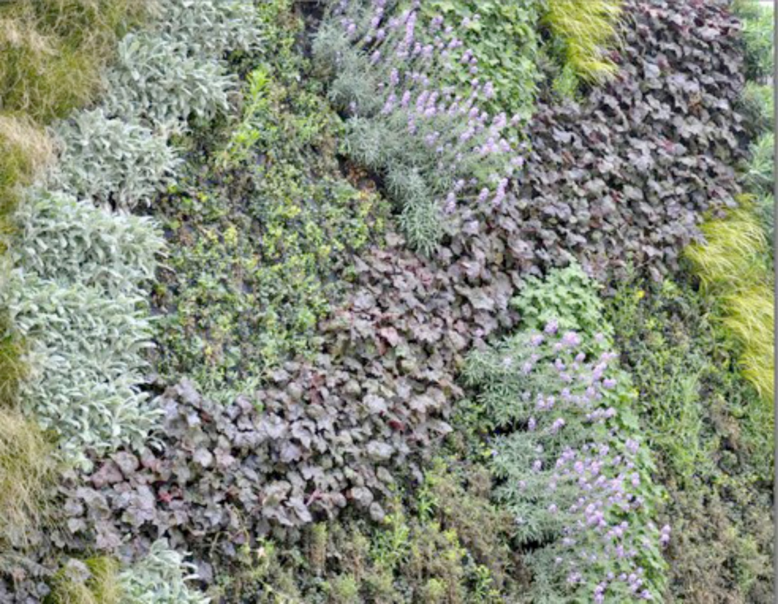 Living Architecture Daily London's green walls