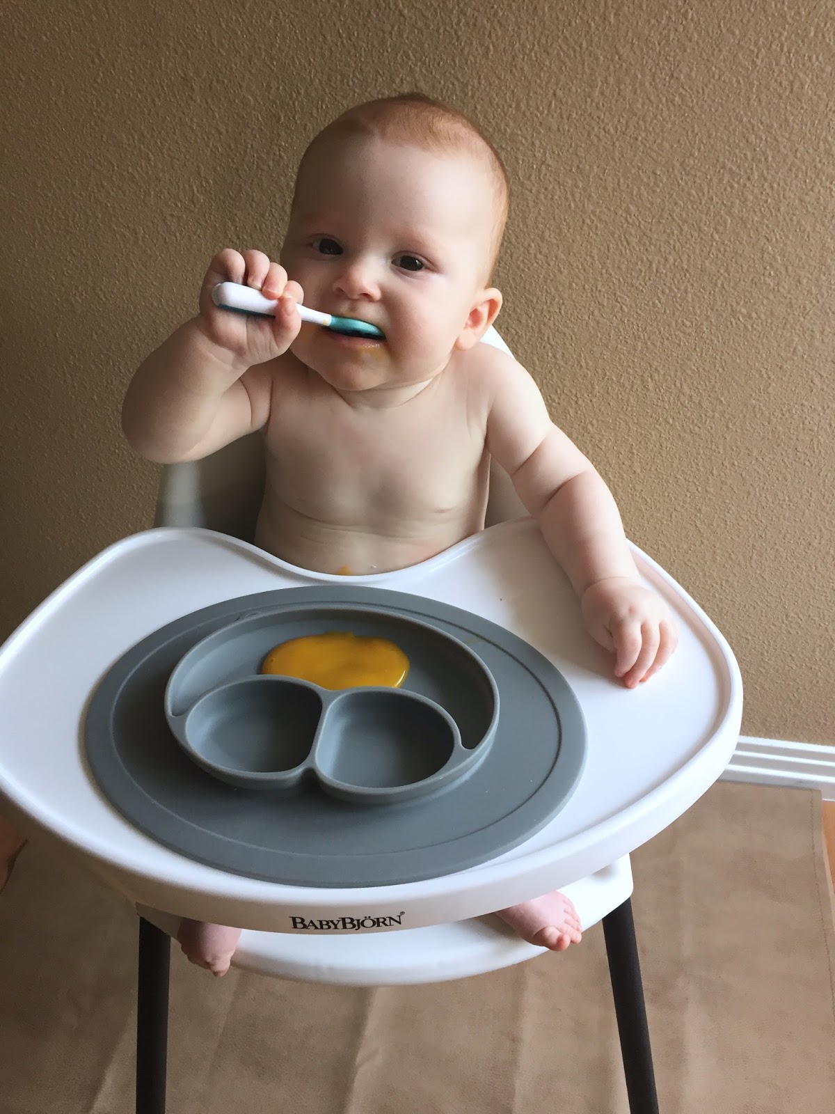 baby feeding gear