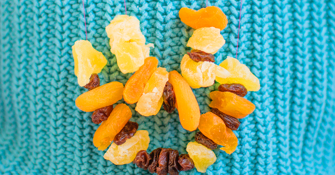 Dried Fruit Necklace Munchkins and Mayhem