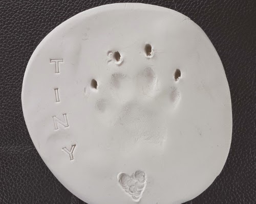 Eclectic Red Barn: Tiny's paw print