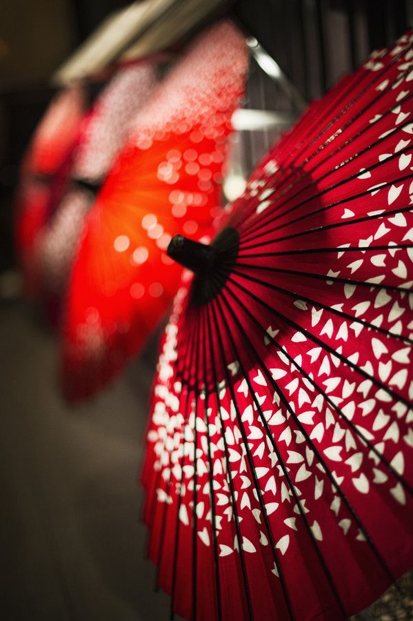 Pinoy Japan Japanese Umbrella Wagasa