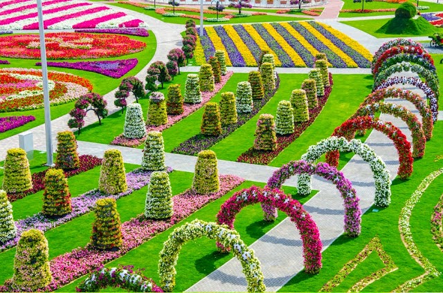 TraveloCity: The Largest Flower Garden In the World - Dubai Miracle Garden