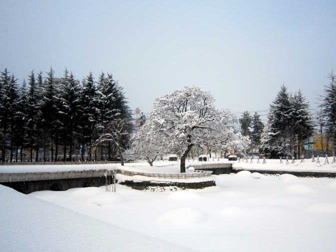 公園の冬景色