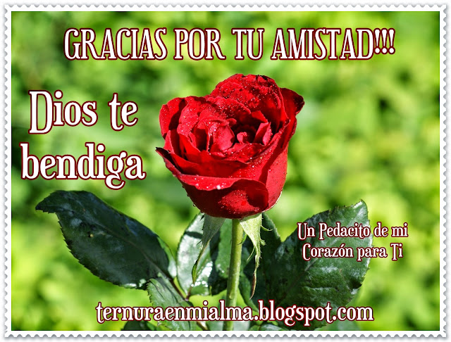 Un Pedacito de mi Corazón para Ti ♥: GRACIAS POR TU AMISTAD!!! DIOS TE ...